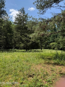43.5 acres and 3046 sq ft home with pool in McMinn County TN - image 33