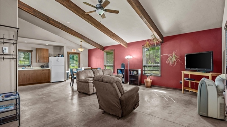 6 Homes and Horse facility Estate in Colorado - image 36