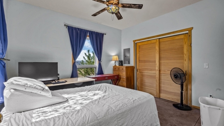 6 Homes and Horse facility Estate in Colorado - image 43
