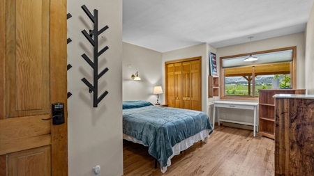 6 Homes and Horse facility Estate in Colorado - image 18