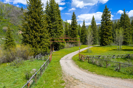 Colorado Mountain Hunting Retreat in Garfield County with Creek - image 14