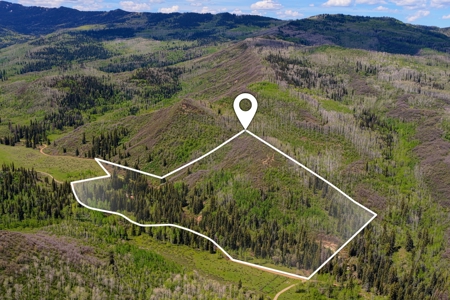 Colorado Mountain Hunting Retreat in Garfield County with Creek - image 30