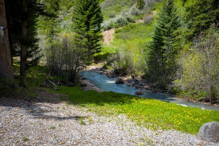 Colorado Mountain Hunting Retreat in Garfield County with Creek - image 8