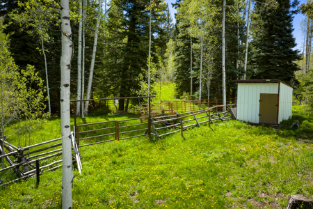 Colorado Mountain Hunting Retreat in Garfield County with Creek - image 7