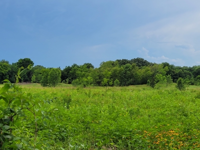 11.199 Acres for Sale Near Clarksville TX with Pond - image 5