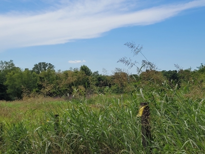 11.199 Acres for Sale Near Clarksville TX with Pond - image 2