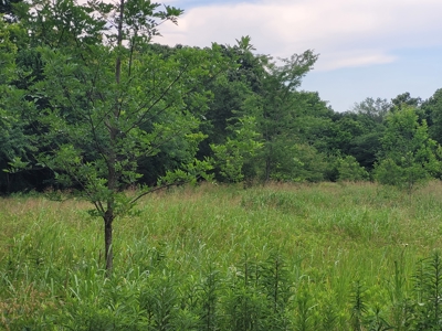 11.199 Acres for Sale Near Clarksville TX with Pond - image 21