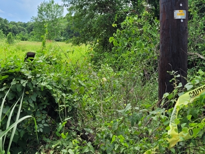 11.199 Acres for Sale Near Clarksville TX with Pond - image 3