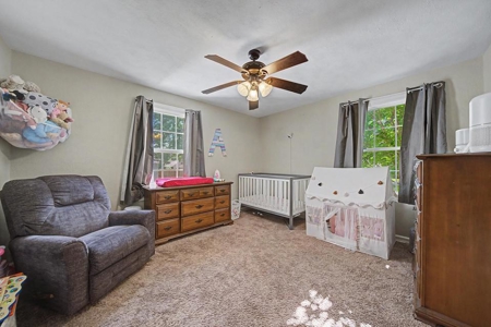 Cottage-Style Home in Belden, MS! - image 15