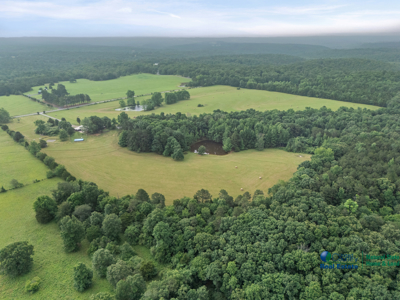 Cattle Ranch with Home/Barns/Ponds For Sale near Heber Springs AR - image 32