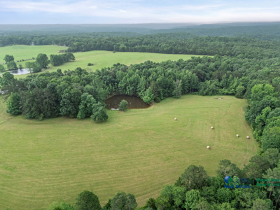 Cattle Ranch with Home/Barns/Ponds For Sale near Heber Springs AR - image 33