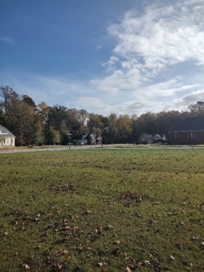 Spacious In-Town Lot in Tree Shade - City Utilities Available - image 8
