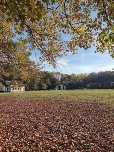 Spacious In-Town Lot in Tree Shade - City Utilities Available - image 3