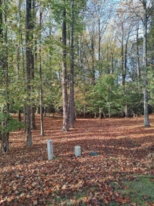 Spacious In-Town Lot in Tree Shade - City Utilities Available - image 11