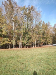 Spacious In-Town Lot in Tree Shade - City Utilities Available - image 4