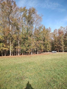 Spacious In-Town Lot in Tree Shade - City Utilities Available - image 6