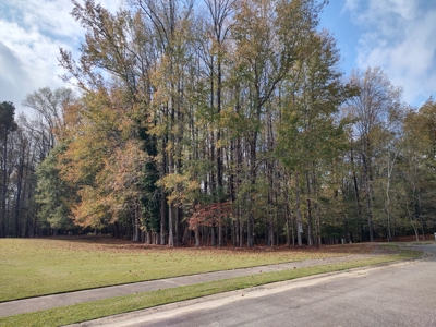 Spacious In-Town Lot in Tree Shade - City Utilities Available - image 1