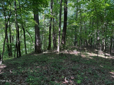 Log Cabin on 40.75 Acres In Unicoi County, Tennessee - image 3