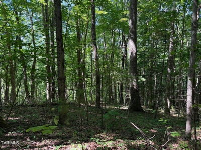 Log Cabin on 40.75 Acres In Unicoi County, Tennessee - image 4