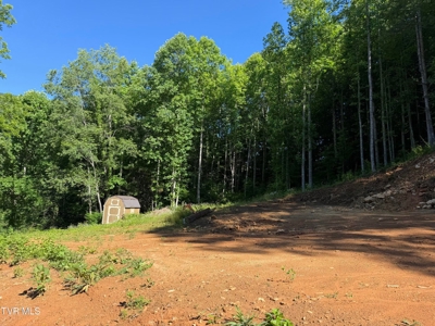 Log Cabin on 40.75 Acres In Unicoi County, Tennessee - image 10