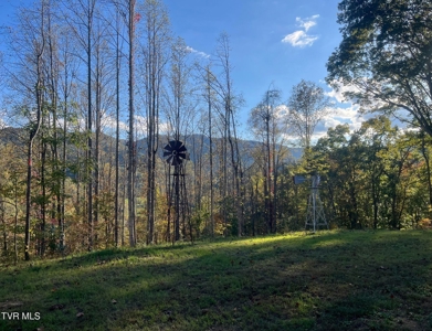 Log Cabin on 40.75 Acres In Unicoi County, Tennessee - image 43