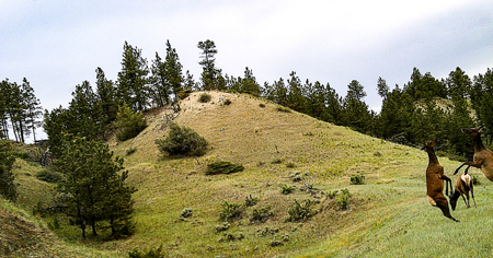 Turnkey Hunting Camp- Heart of Montana's Missouri River Breaks - image 50