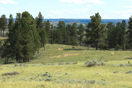 Turnkey Hunting Camp- Heart of Montana's Missouri River Breaks - image 15