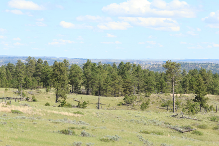 Turnkey Hunting Camp- Heart of Montana's Missouri River Breaks - image 17