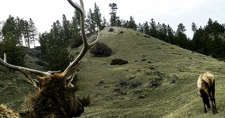 Turnkey Hunting Camp- Heart of Montana's Missouri River Breaks - image 47
