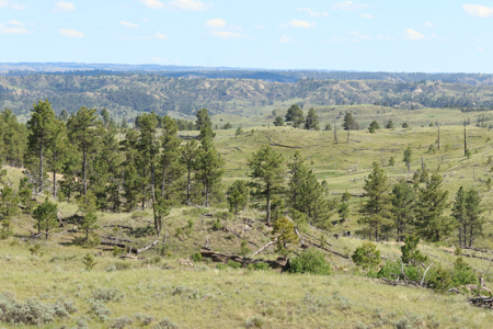 Turnkey Hunting Camp- Heart of Montana's Missouri River Breaks - image 16