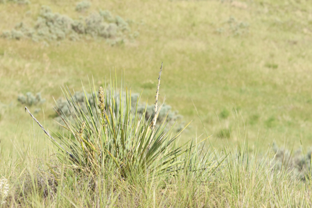 Turnkey Hunting Camp- Heart of Montana's Missouri River Breaks - image 19