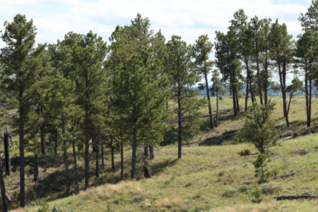 Turnkey Hunting Camp- Heart of Montana's Missouri River Breaks - image 18