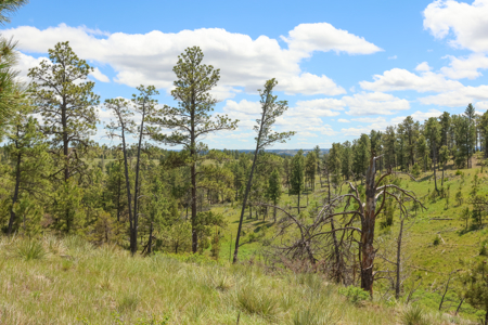 Turnkey Hunting Camp- Heart of Montana's Missouri River Breaks - image 5