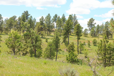Turnkey Hunting Camp- Heart of Montana's Missouri River Breaks - image 2