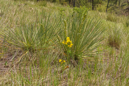 Turnkey Hunting Camp- Heart of Montana's Missouri River Breaks - image 4