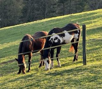 Home with 12.32 ac± located In Carroll County, VA - image 24