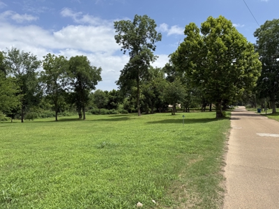 1 +/- Acre Residential Lot in Town Winnsboro, Texas For Sale - image 2