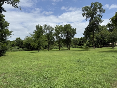 1 +/- Acre Residential Lot in Town Winnsboro, Texas For Sale - image 3
