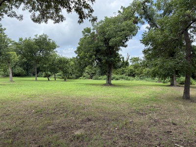 1 +/- Acre Residential Lot in Town Winnsboro, Texas For Sale - image 4