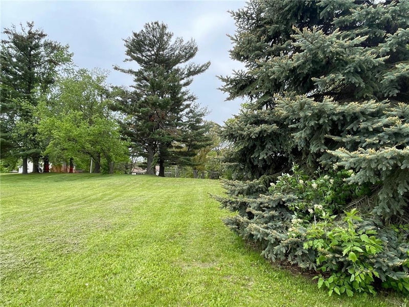 No Caption