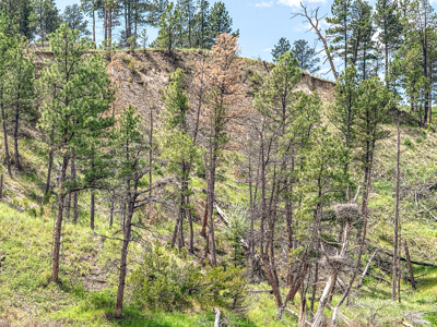 Missouri River Breaks Land with Landowner Preference - image 19