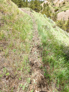 Missouri River Breaks Land with Landowner Preference - image 18
