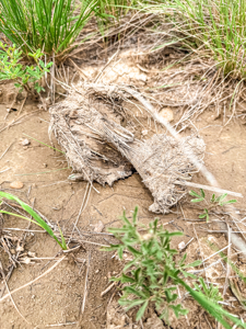 Missouri River Breaks Land with Landowner Preference - image 10