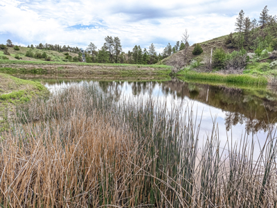 Missouri River Breaks Land with Landowner Preference - image 9