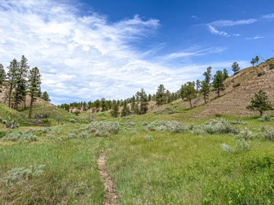 Missouri River Breaks Land with Landowner Preference - image 21