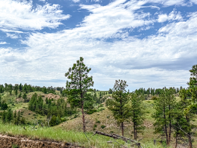Missouri River Breaks Land with Landowner Preference - image 26