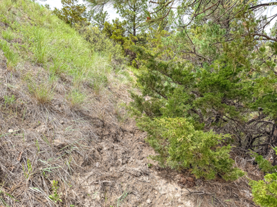 Missouri River Breaks Land with Landowner Preference - image 13