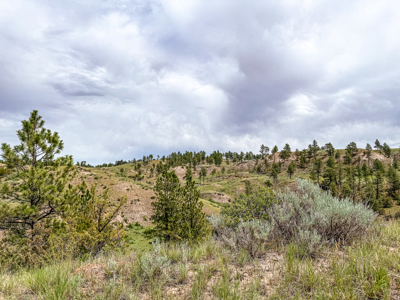 Missouri River Breaks Land with Landowner Preference - image 16