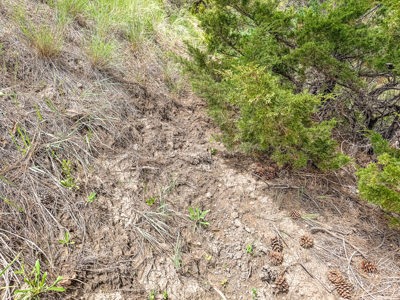 Missouri River Breaks Land with Landowner Preference - image 14
