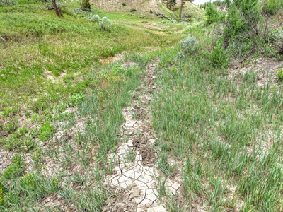 Missouri River Breaks Land with Landowner Preference - image 20